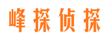 安仁市调查公司